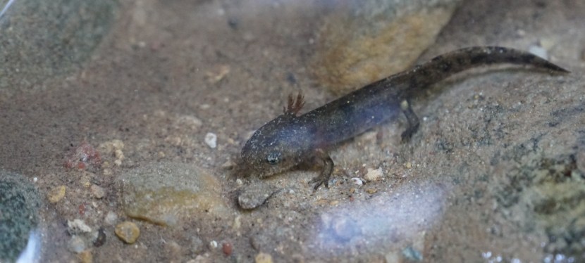 Nachhaltige und ganzheitliche Quartierentwicklung