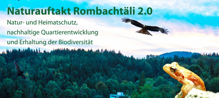 Quartierverein Rombachtäli