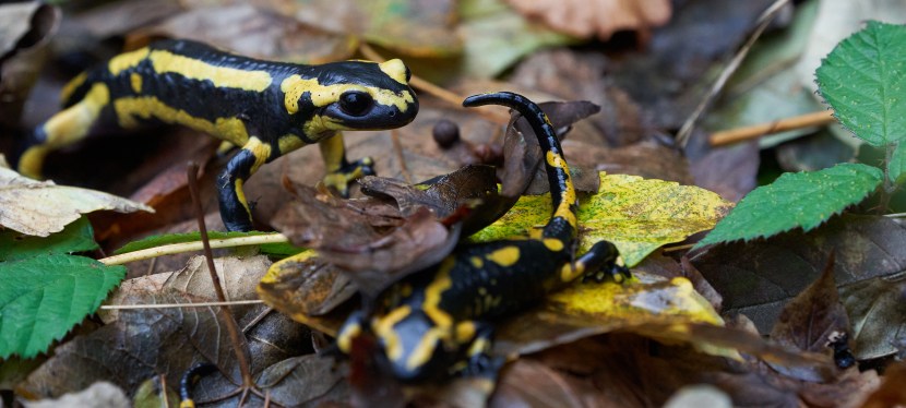 News – Termine –&nbsp;Aktionen